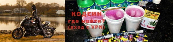 шишки Богданович