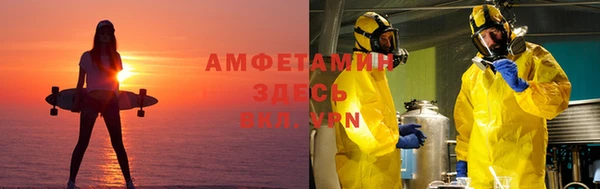 мдпв Белокуриха