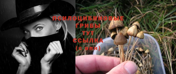 ешки Белоозёрский