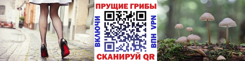 Псилоцибиновые грибы мицелий ОМГ ОМГ как войти Богородицк